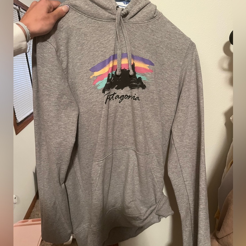 patagonia sweatshirt